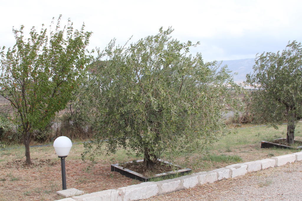 Agriturismo Silos Agri Villa San Severo Eksteriør billede