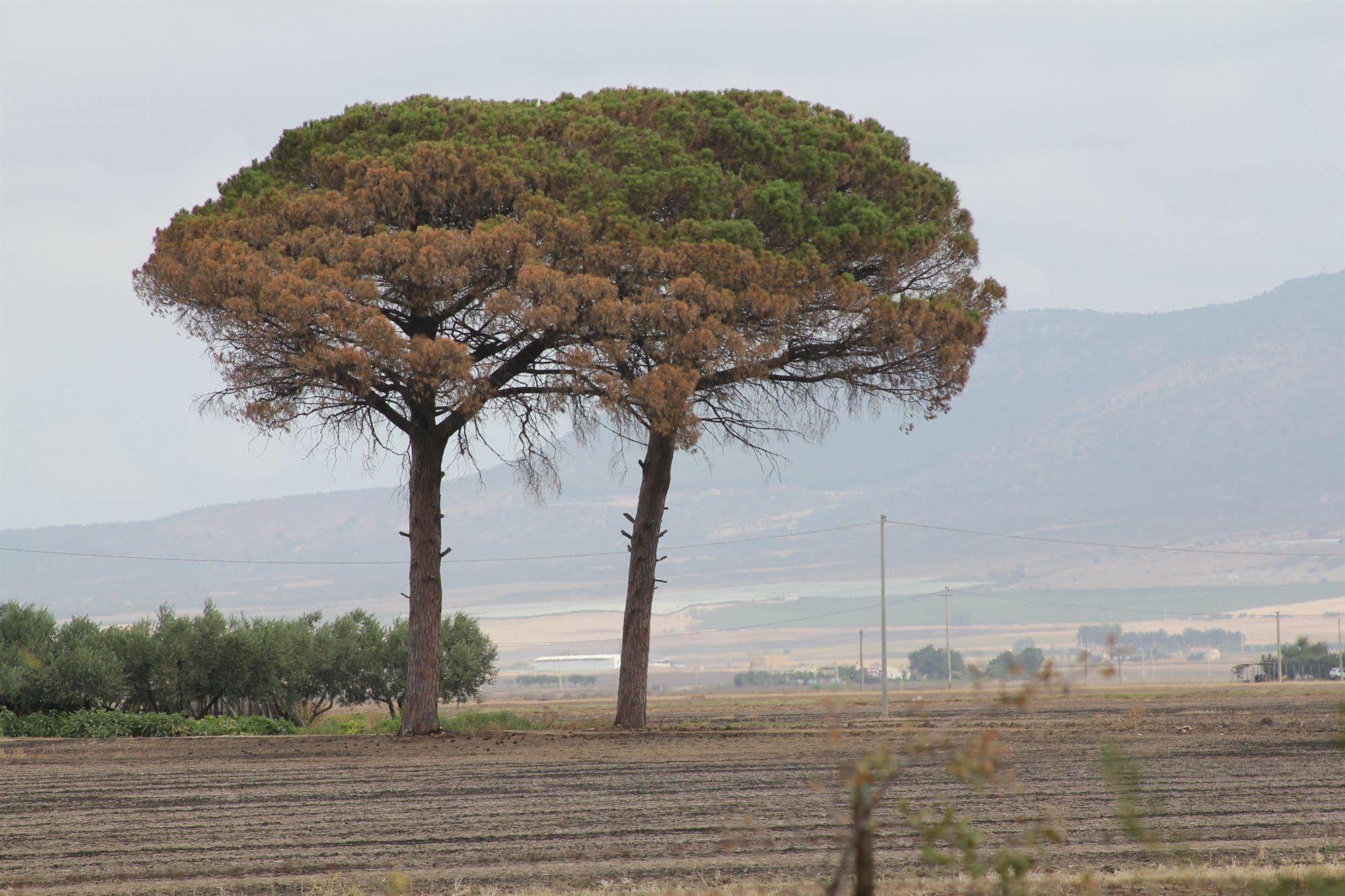 Agriturismo Silos Agri Villa San Severo Eksteriør billede