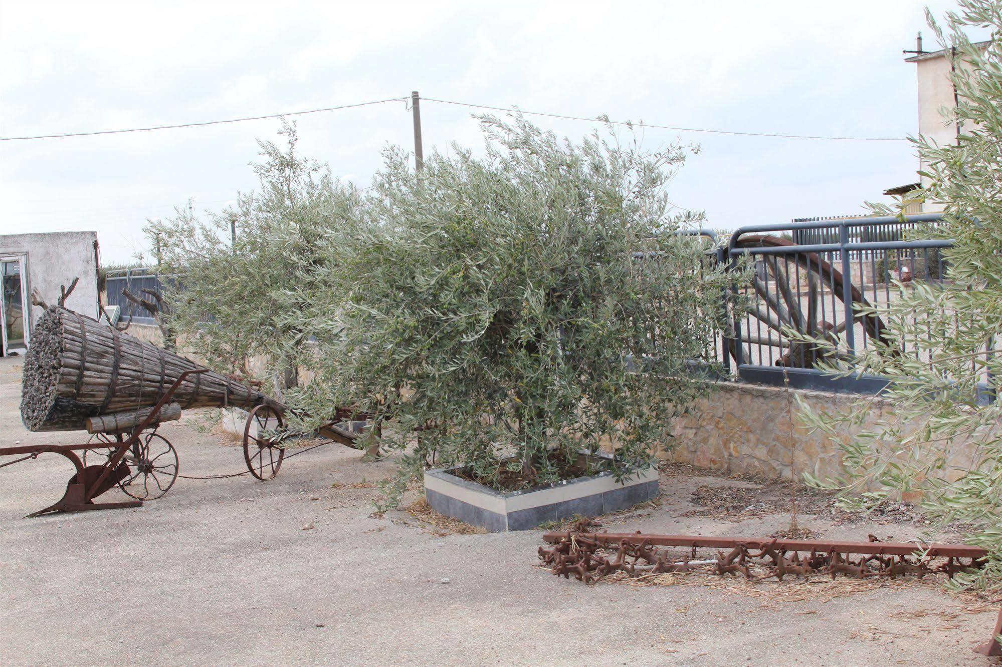 Agriturismo Silos Agri Villa San Severo Eksteriør billede